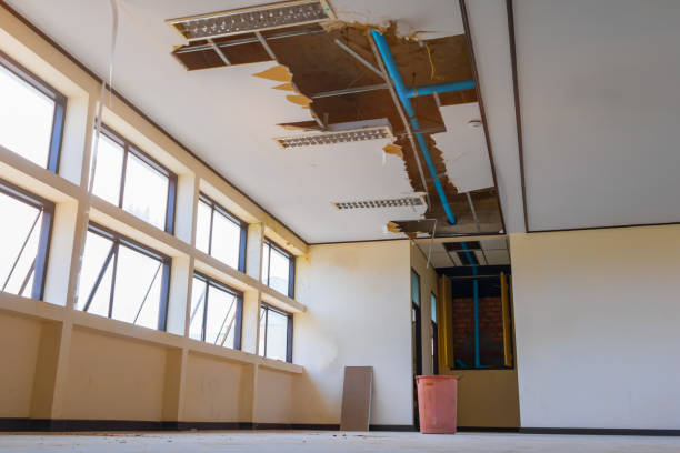 Trusted Smithton, IL Water damage restoration Experts