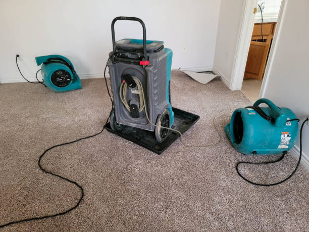 Best Water damage restoration near me  in Smithton, IL