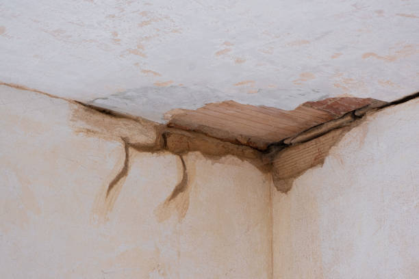 Best Flood restoration services  in Smithton, IL