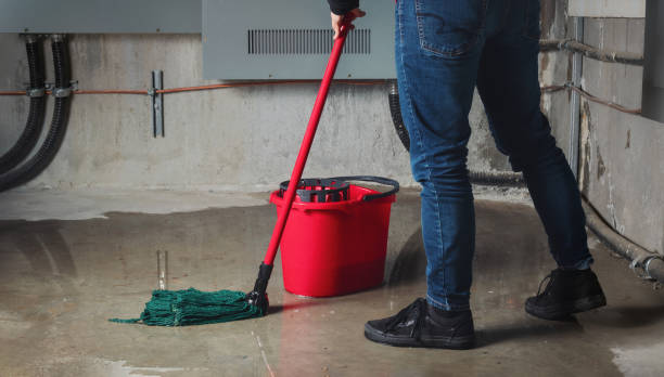 Best Carpet water damage restoration  in Smithton, IL