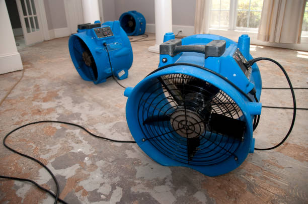 Best 24/7 water damage repair  in Smithton, IL