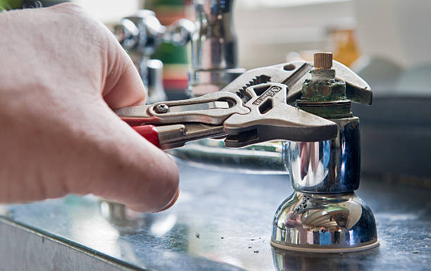 Best Flood restoration services  in Smithton, IL