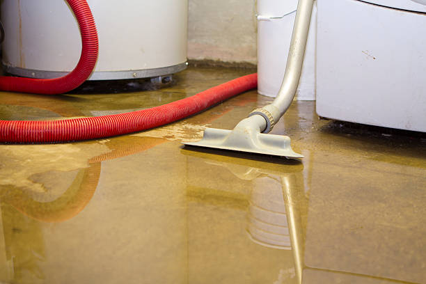  Smithton, IL Water damage restoration Pros