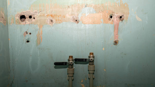 Best Ceiling water damage repair  in Smithton, IL