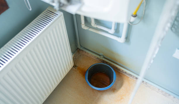 Best Ceiling water damage repair  in Smithton, IL